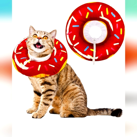 Cat/small dog donut cone - Picture 1 of 6